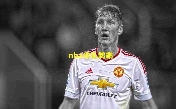 nba球队鹈鹕