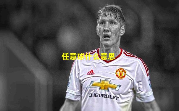任意球什么意思