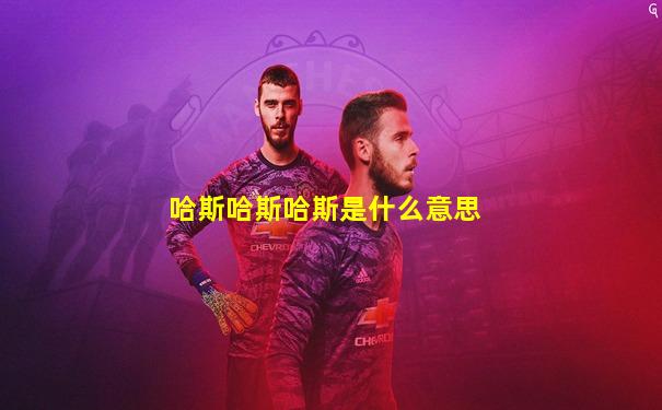哈斯哈斯哈斯是什么意思