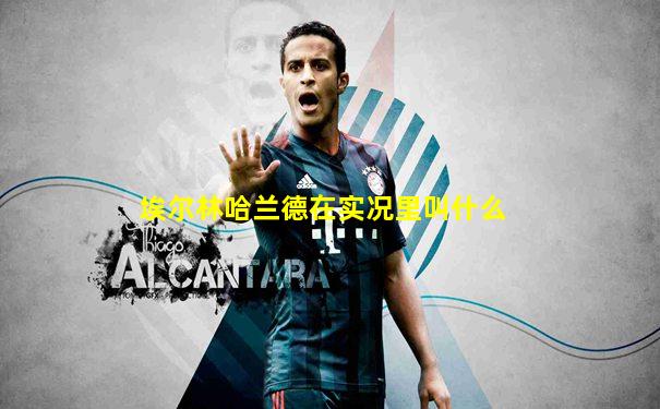 埃尔林哈兰德在实况里叫什么