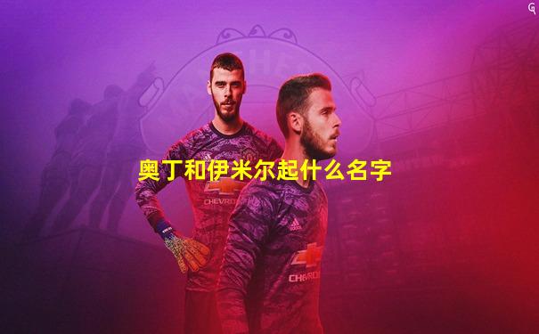 奥丁和伊米尔起什么名字