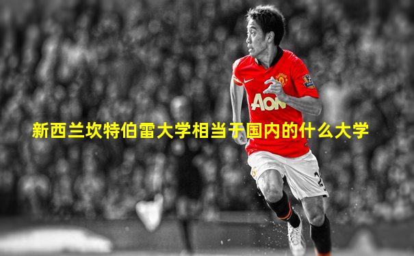 新西兰坎特伯雷大学相当于国内的什么大学