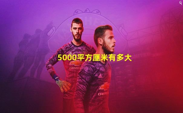 5000平方厘米有多大