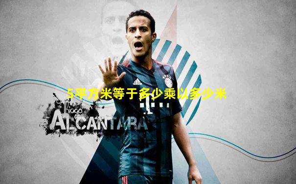 5平方米等于多少乘以多少米