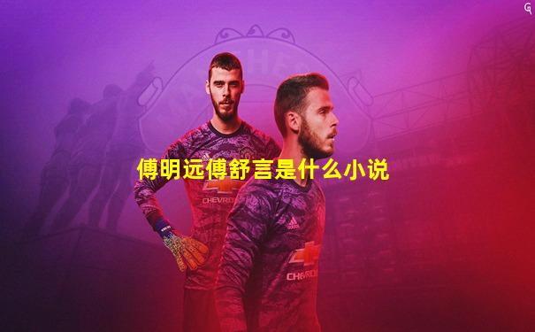 傅明远傅舒言是什么小说