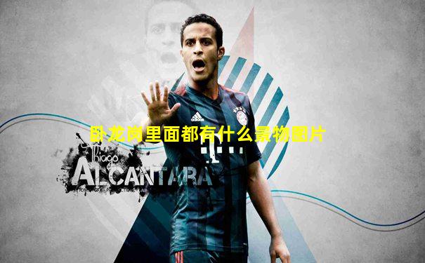卧龙岗里面都有什么景物图片