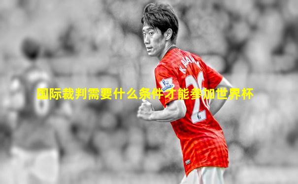 国际裁判需要什么条件才能参加世界杯