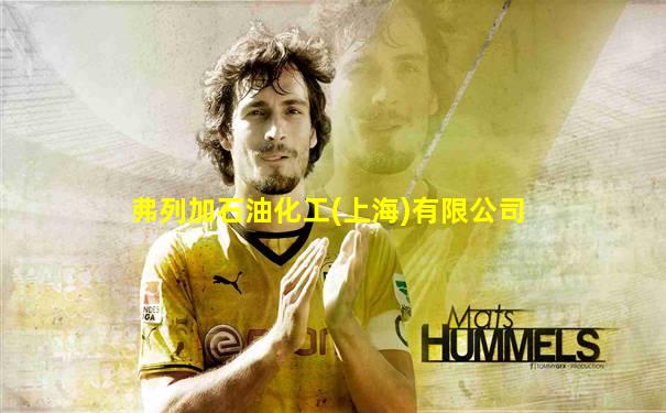 弗列加石油化工(上海)有限公司