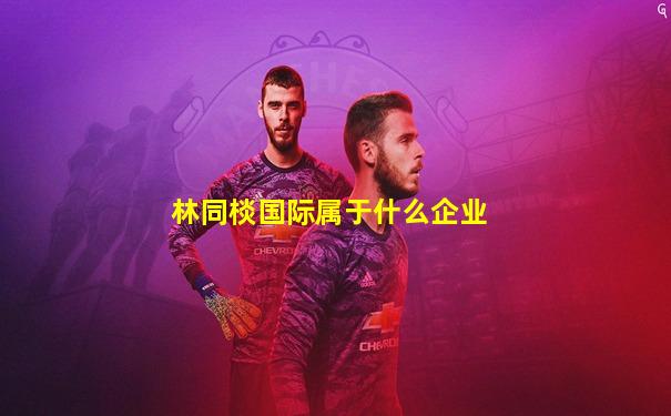 林同棪国际属于什么企业
