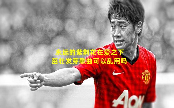 永远的紫荆花在爱之下茁壮发芽歌曲可以乱用吗