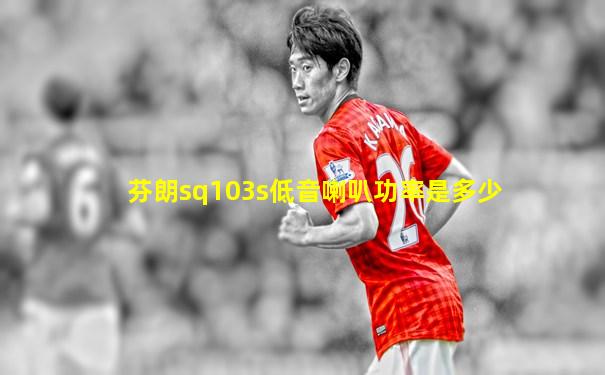 芬朗sq103s低音喇叭功率是多少